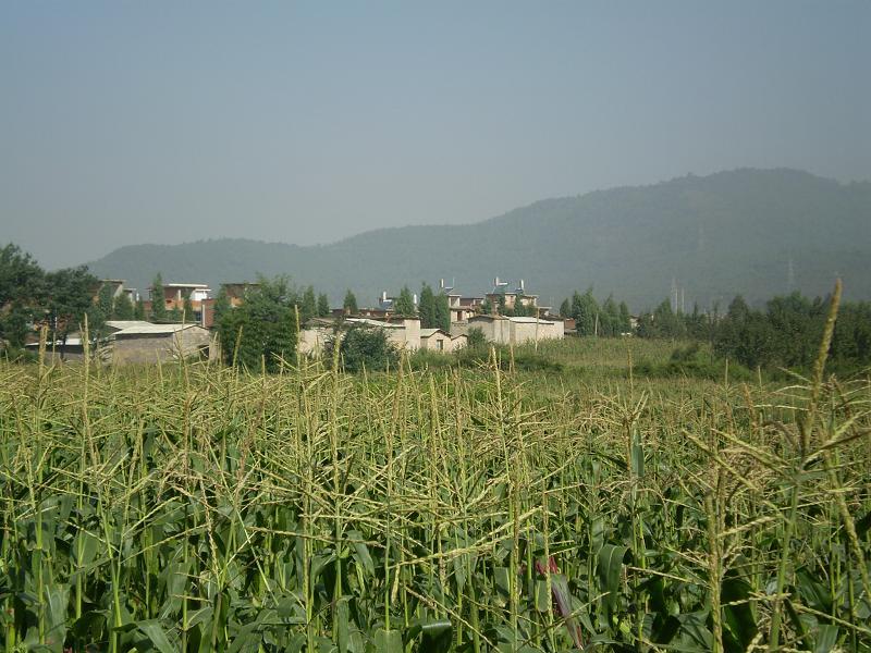 增福村(雲南省昆明市安寧市草鋪鎮麒麟行政村下轄村)