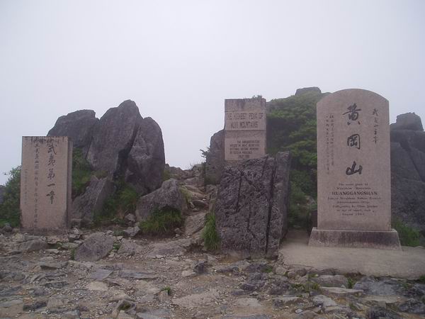 黃岡山(武夷山自然保護區黃岡山)