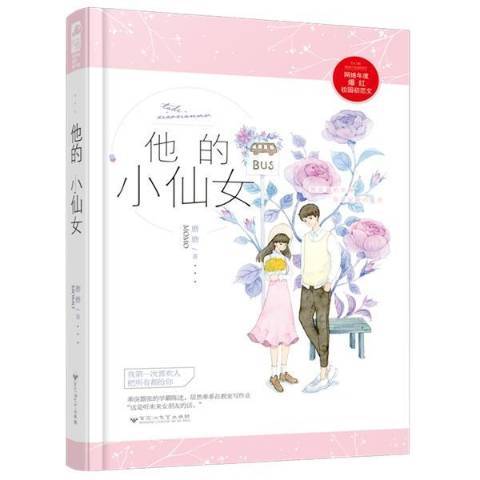 他的小仙女(2018年百花洲文藝出版社出版的圖書)