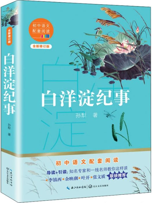 白洋淀紀事(2020年長江文藝出版社出版的圖書)