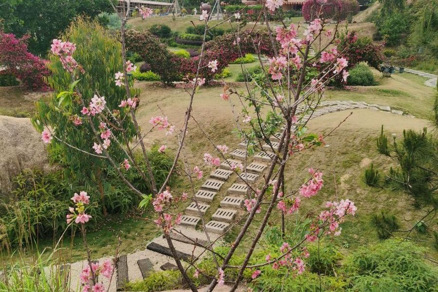 大鹿農業公園