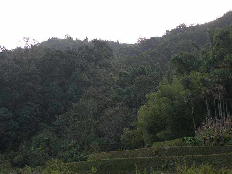 登雲新寨村