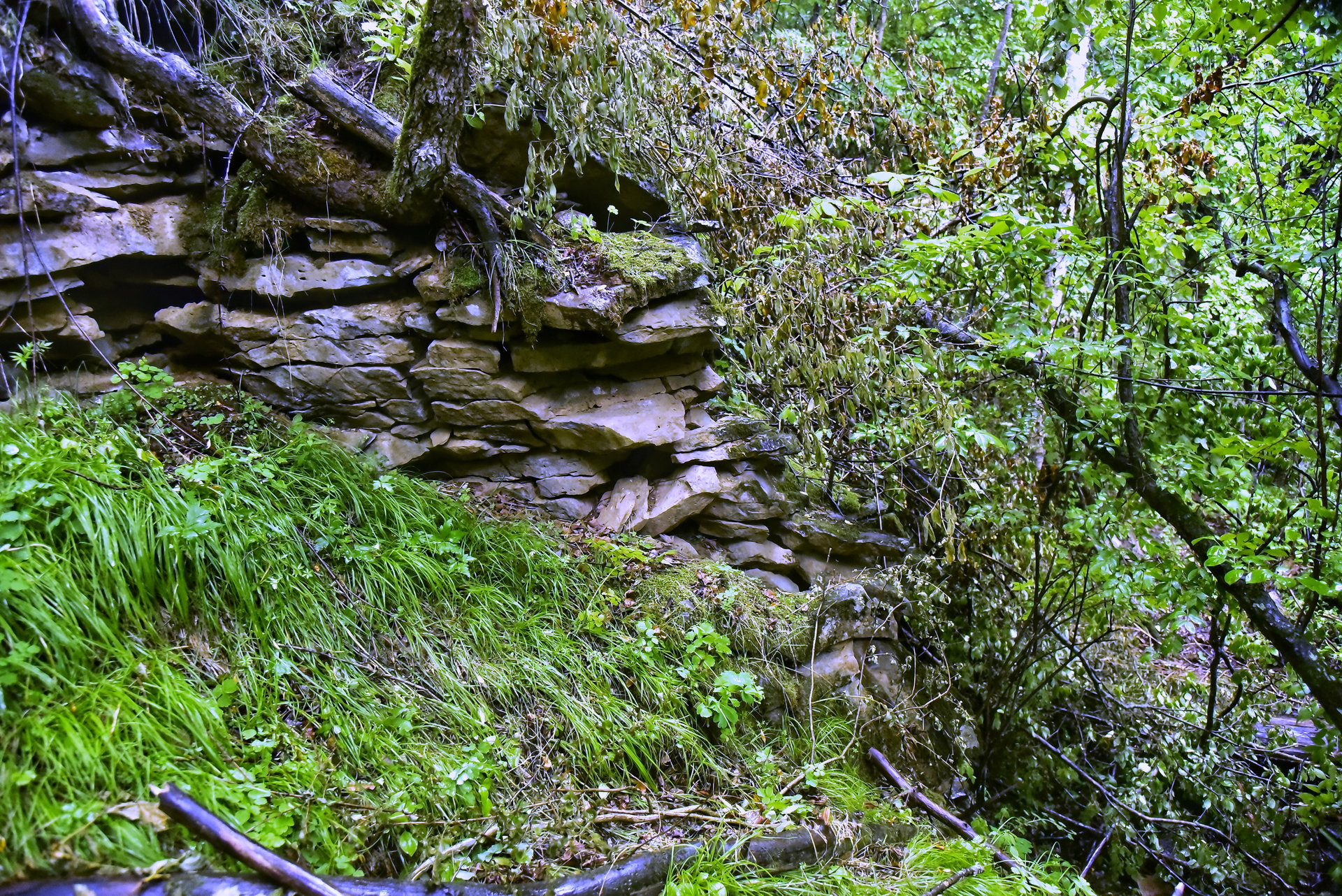 老黑河遺址