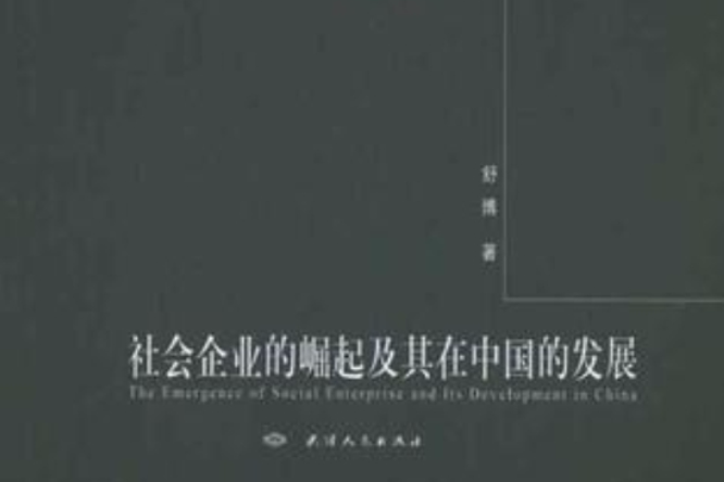 社會企業的崛起及其在中國的發展/新視點文庫