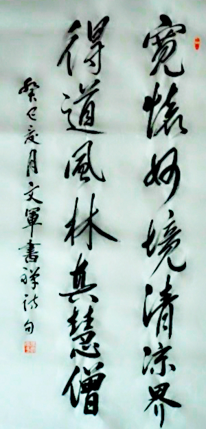 張文軍(學者型書法家)