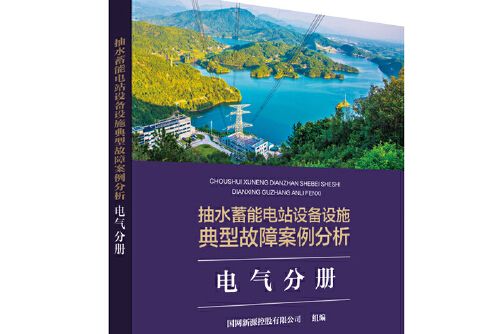 抽水蓄能電站設備設施典型故障案例分析-電氣分冊