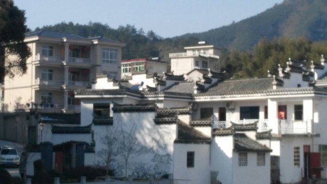 蔡家橋鎮朱旺村