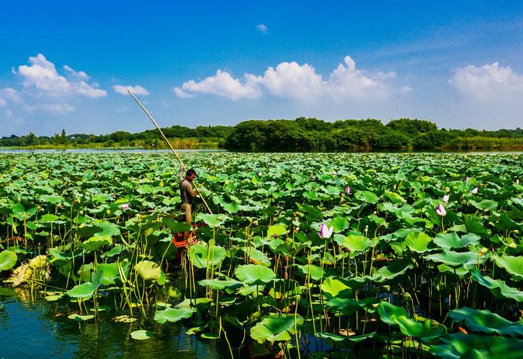 湖南華容東湖國家濕地公園