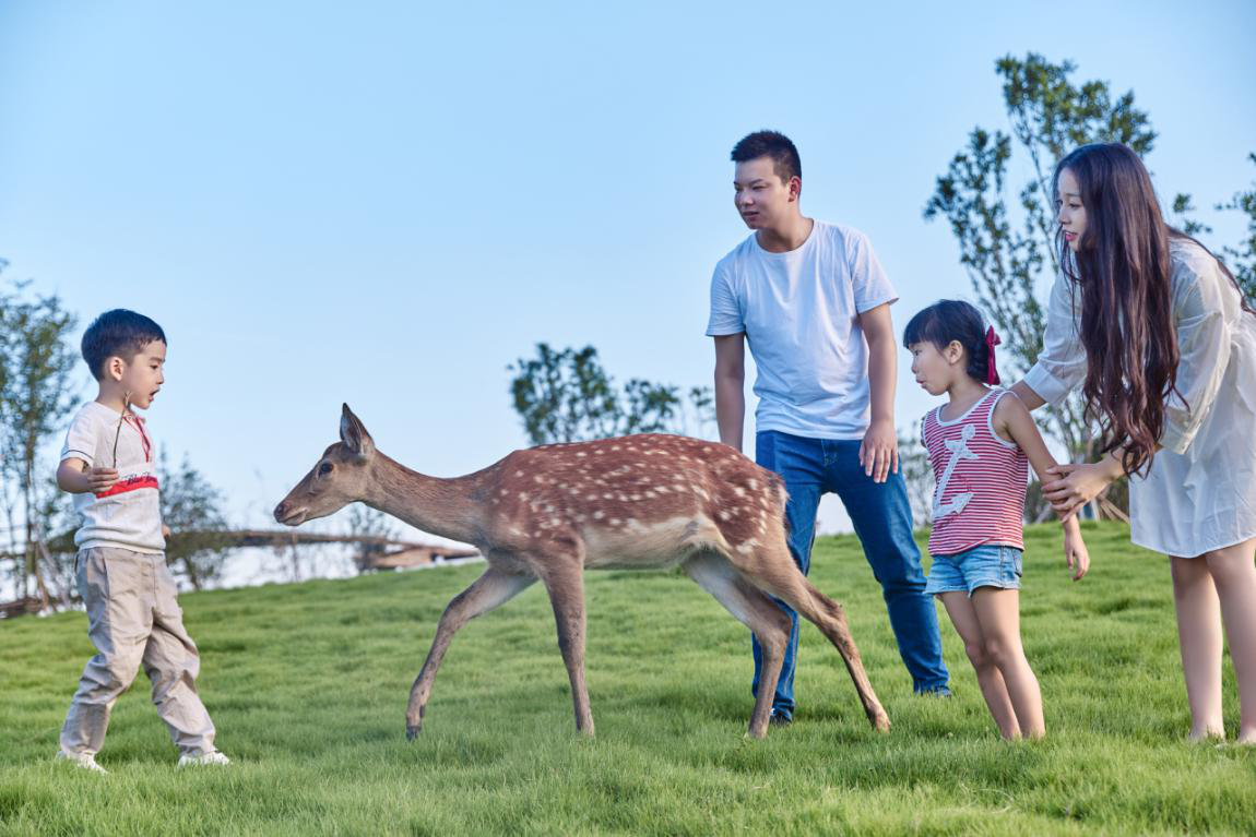 新希望種子樂園