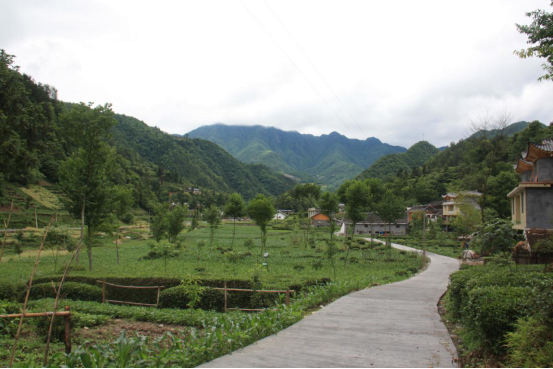 東洲村(湖北恩施州鶴峯縣下坪鄉東洲村)