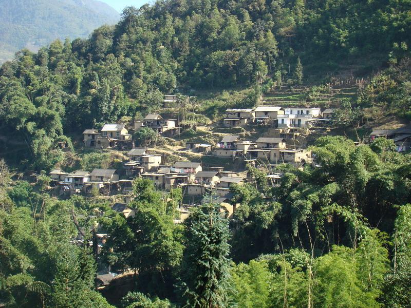 松樹寨村(雲南省元陽縣俄扎鄉松樹寨村)