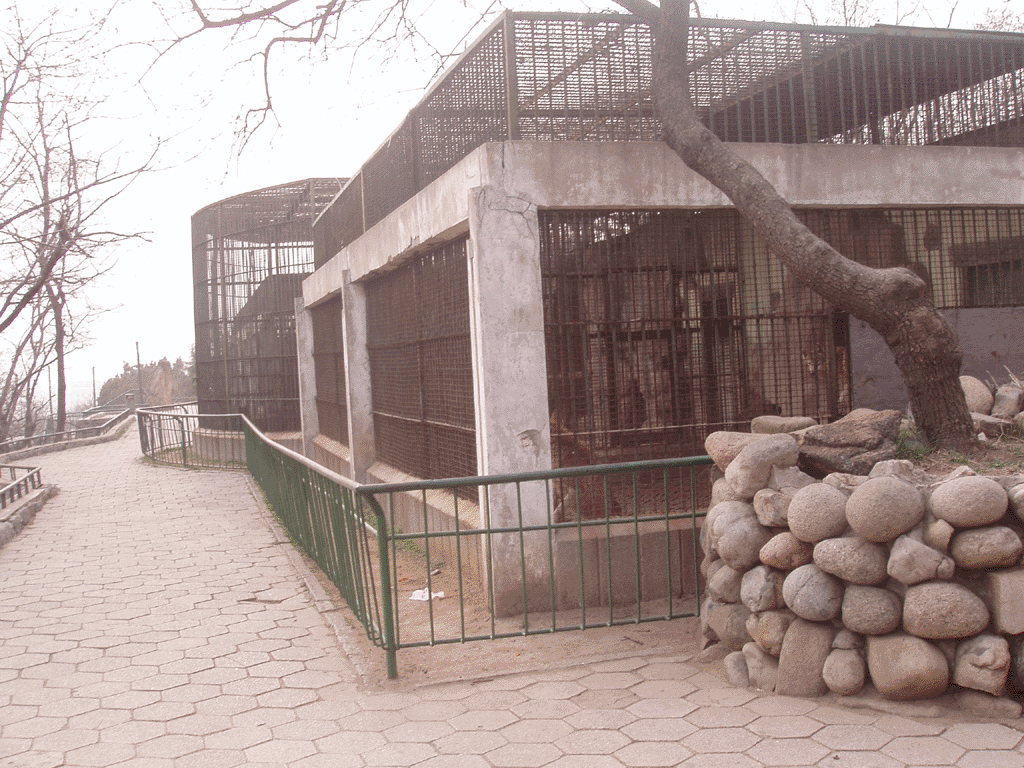 青島動物園猛獸籠舍