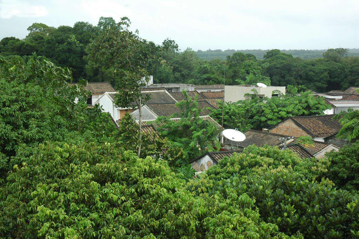 甸心村(雲南省昆明羊街鎮甸心村委會)