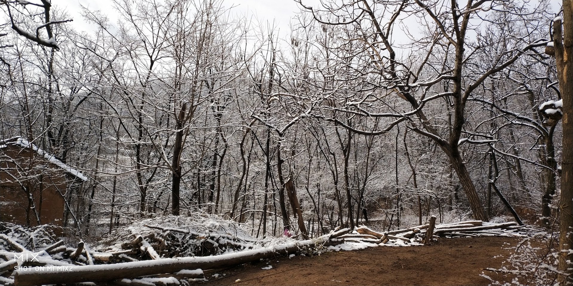 莊科村(河南省洛寧縣上戈鎮自然村)