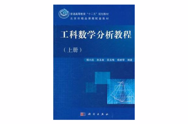 工科數學分析教程（上冊）