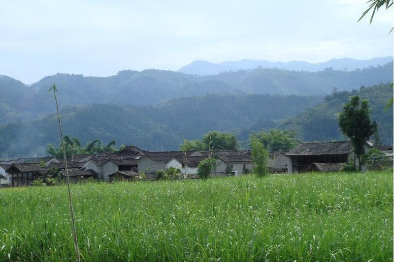 小雲村(峨山縣富良棚鄉塔沖村民委員會下轄村)