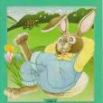 Hare and the Tortoise Little Book