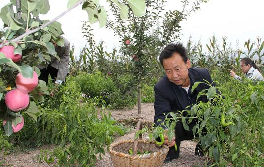 靜寧仁大鄉村民