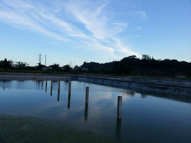 汕頭市前隴養殖有限公司