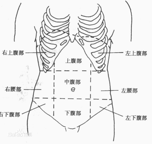 季肋部