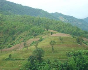 文崩自然村