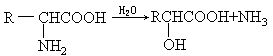 水解脫氨
