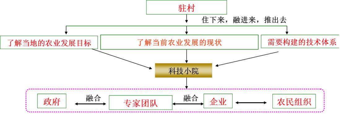 科技小院基本模式