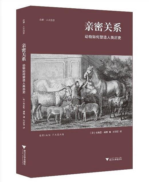 親密關係(2019年浙江大學出版社出版的圖書)