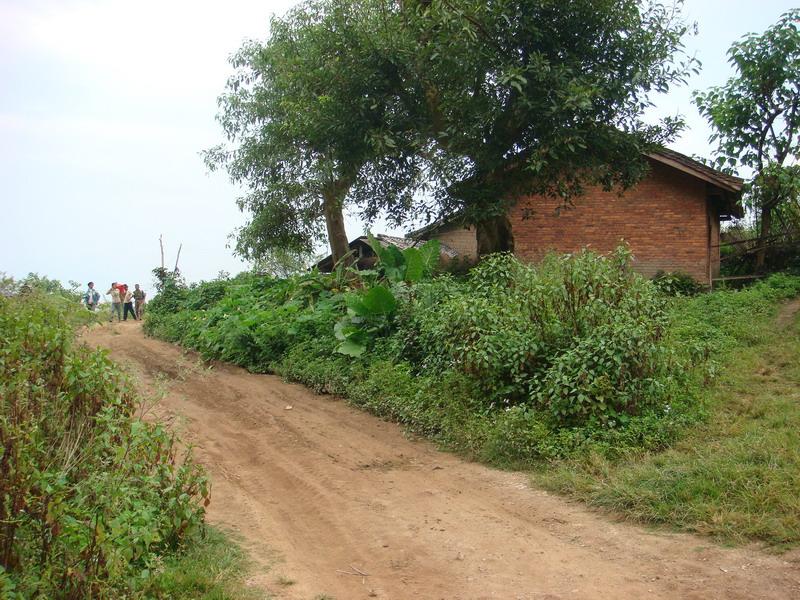 2007年時偏老山村進村道路一角