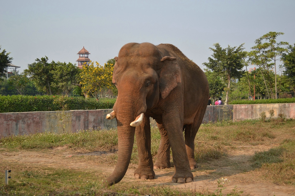 東莞香市動物園