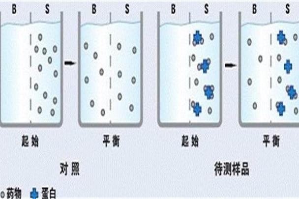 平衡透析法