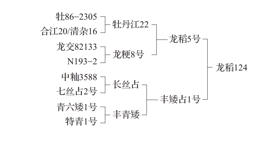 龍稻124