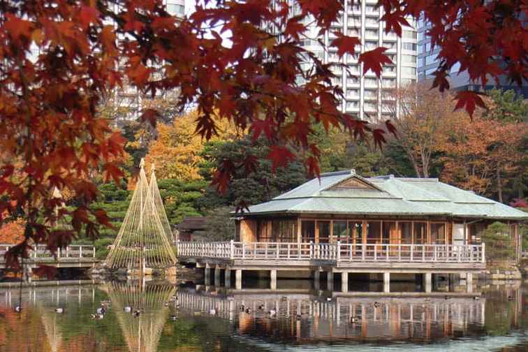 舊濱離宮庭園(濱離宮庭園)