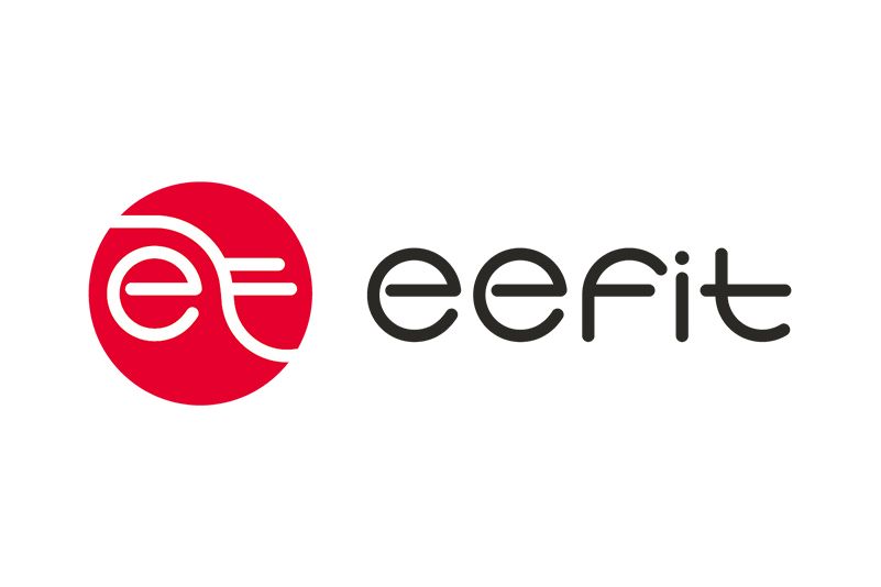 EEFIT