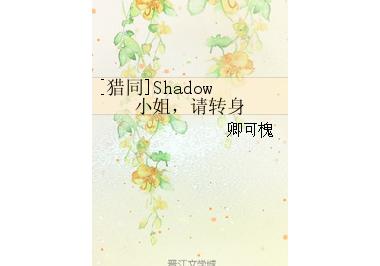 [獵同]Shadow小姐，請轉身