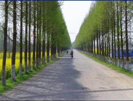 栗莊村(山東夏津縣夏津鎮下轄村)