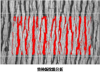 特種版紋路分析