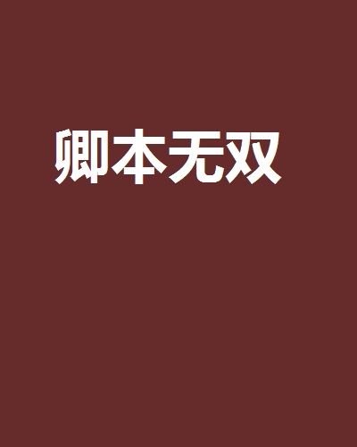 卿本無雙(小說)