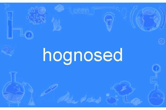 hognosed