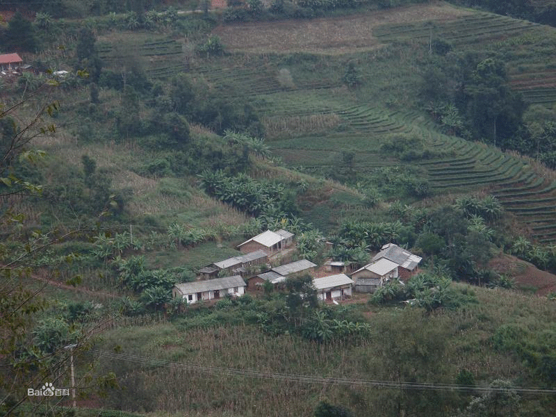 山中自然村