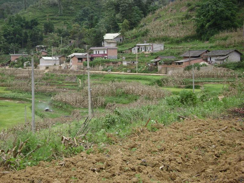 田壩子村