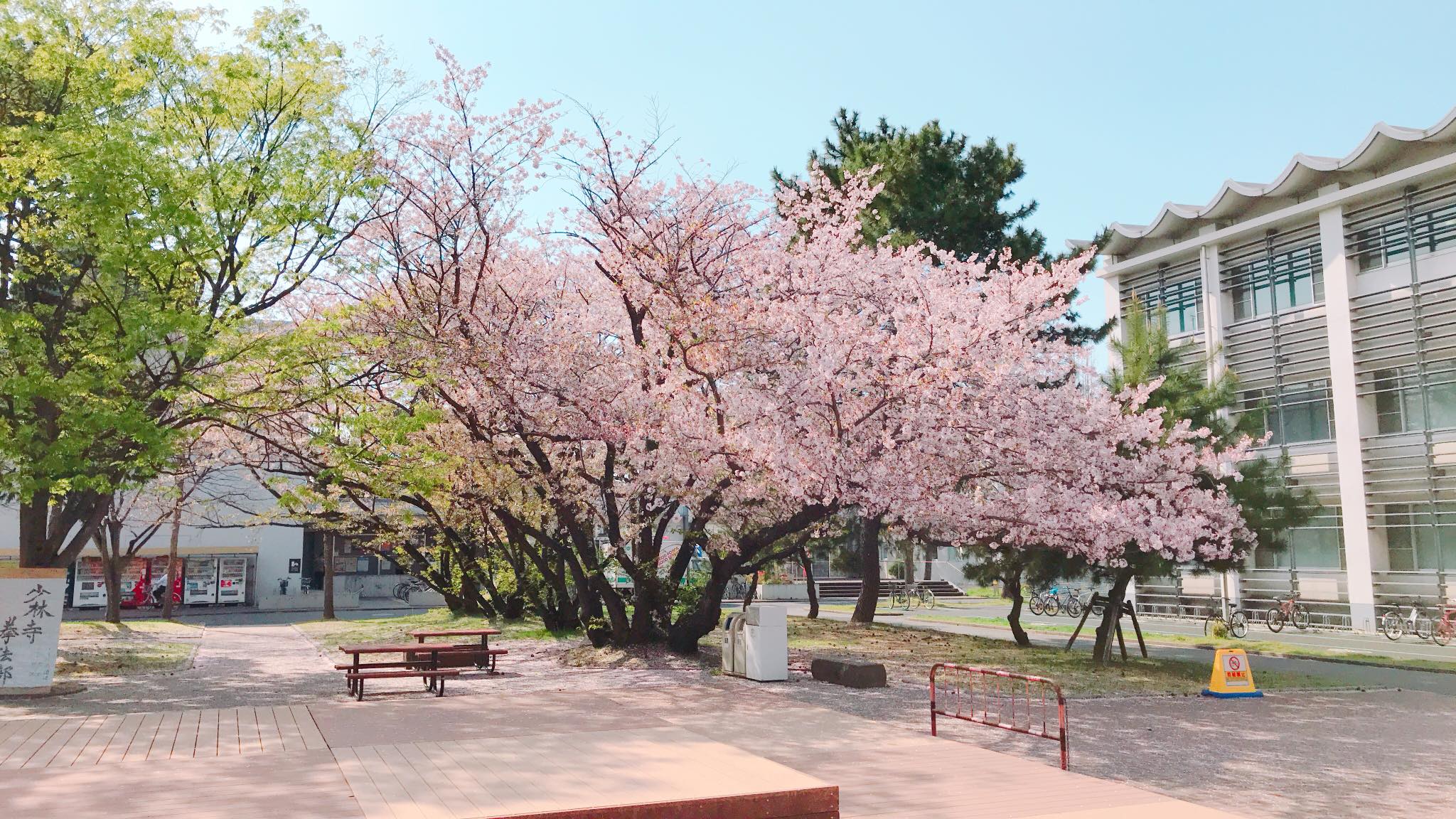 九州工業大學