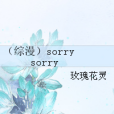 （綜漫）sorry sorry