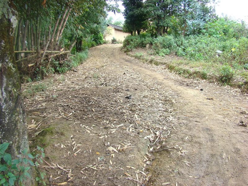 棠梨樹自然村通村道路