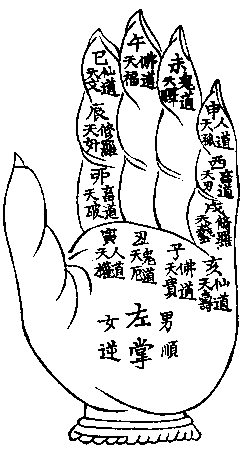 一掌金