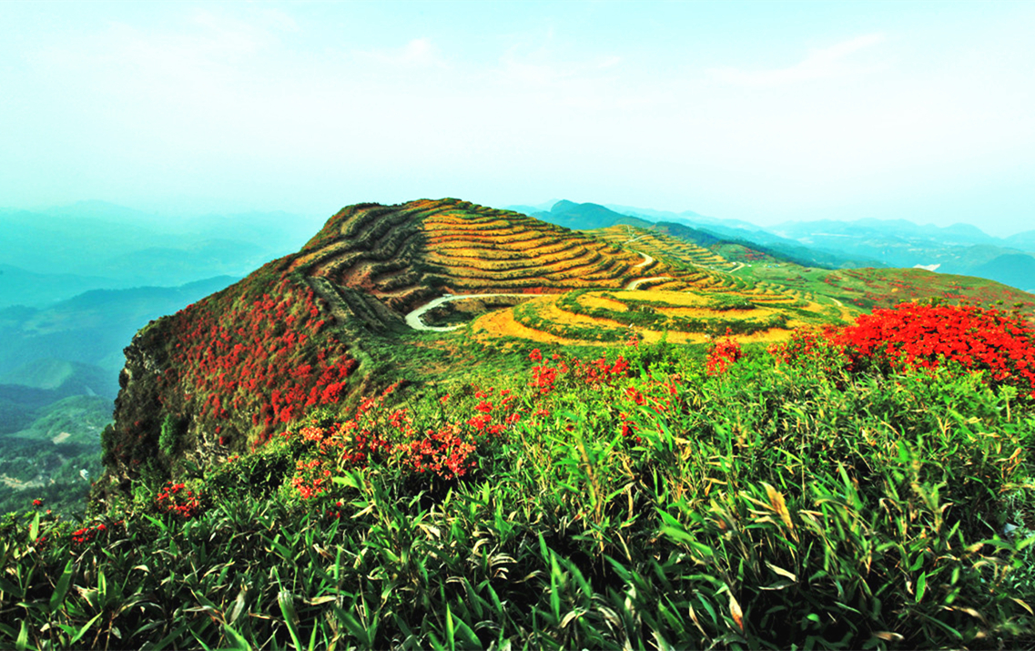 白龍山生態旅遊開發區