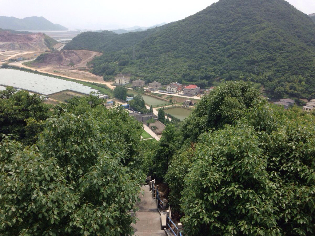 浙江奉化黃賢森林公園