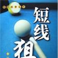 短線狙擊(2006年中華工商聯合出版社出版的圖書)