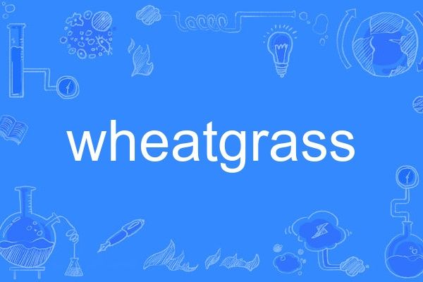 wheatgrass