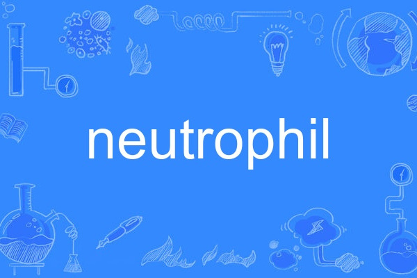 neutrophil